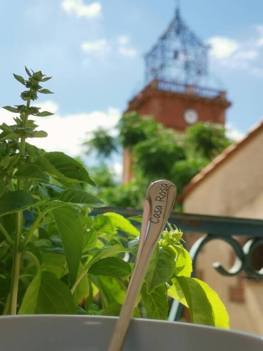Villa Casa Rosa, Un Petit Cocon Catalan Ortaffa Exterior foto